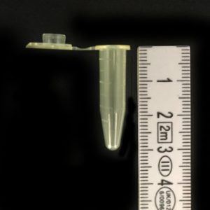 0.6ml MaxyClear Snaplock Microcentrifuge Tube Polypropylene